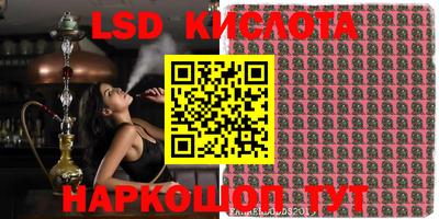 сатива Аргун