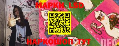 spice Камышлов