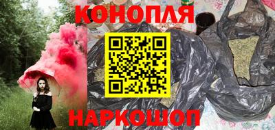 spice Камышлов