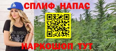 spice Камышлов