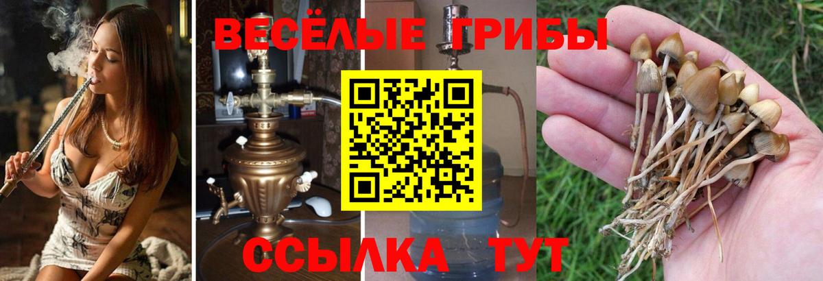Краснокаменск  Псилоцибиновые грибы GOLDEN TEACHER  Вход с VPN  Галлюциногенные грибы ЛСД 